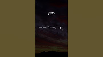 سوره النصر الجزء الثالث على قناه القران الكريم والقصائد❤👤🗣