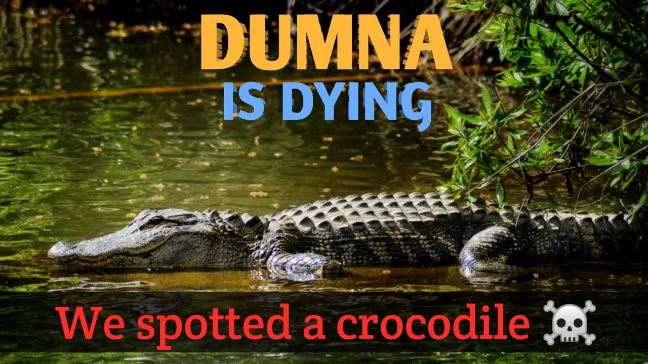 DUMNA NATURE RESERVE FULL TOUR🔥{Jabalpur M.P} | डुमना नेचर रिजर्व का पूरा भ्रमण 🔥