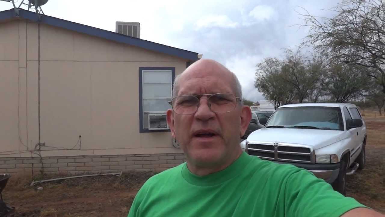 Growing swiss chard in earth buckets and cooking it. YouTube