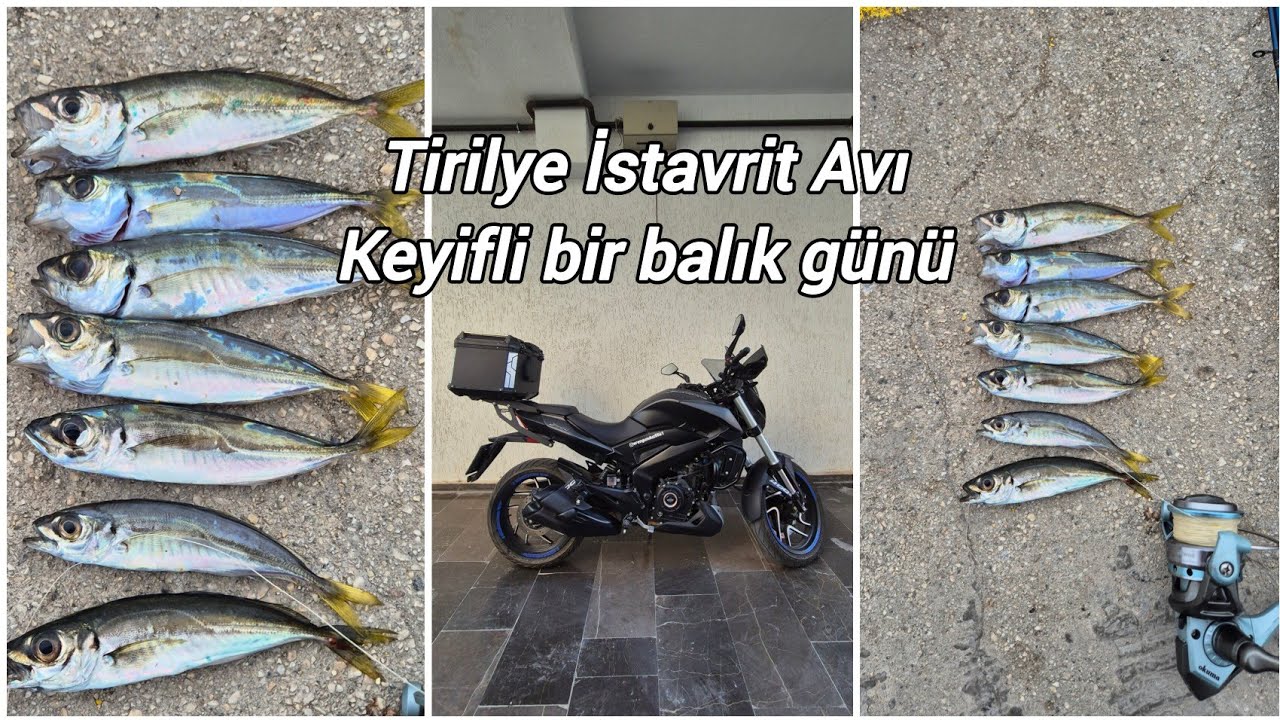 BURSA BALIK AVI / İSTAVRİT AVI / MUDANYA BALIK AVI VE MOTOR GEZİSİ