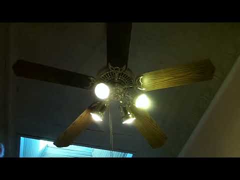 Hampton Bay Landmark Ceiling Fans in a Store (2012)