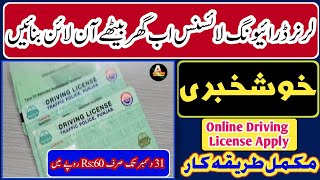 How To Apply Learner Driving License Online at Home | Online Driving License Apply In Pakistan DLIMS screenshot 1