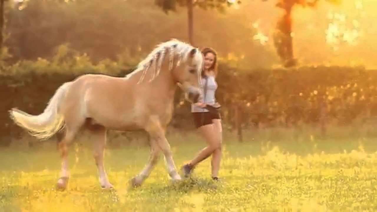 [PROMO] Eva Roemaat and her horses! (HD!!) YouTube