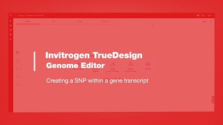 Invitrogen TrueDesign Genome Editor: Creating a SNP within a gene transcript