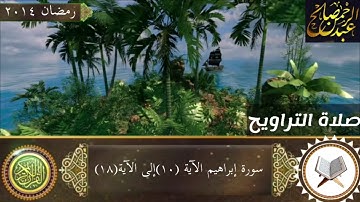 تلاوة من صلاة التراويح القارئ عبدالرحمن صالح الشريف