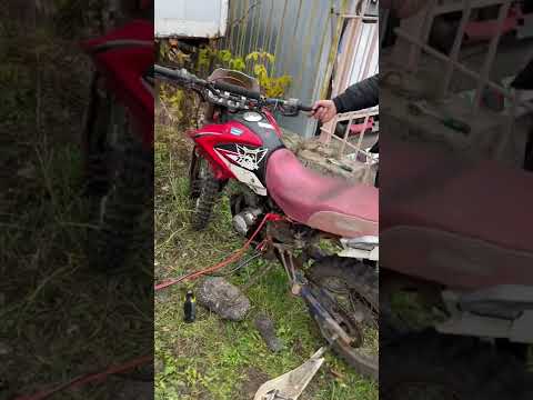 Ирбис TTR250R