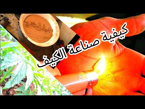 كيفية صناعة الكيف القنب الهندي بالمناطق إقليم شفشاون شمال المغرب قناتنا الرسمية 2021 