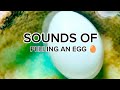 SOUNDS OF PEELING AN EGG #asmr #trending #shorts