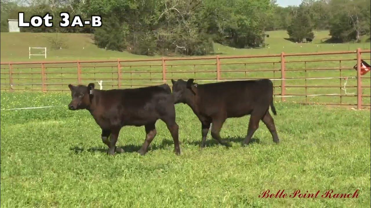 Lot 3A 3B - YouTube