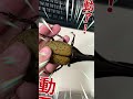 不准走,活下來!【高難度手術交給我就對了】系列四