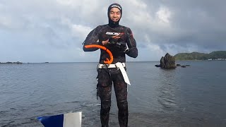 Shore Diving for CRAYFISH in NZ