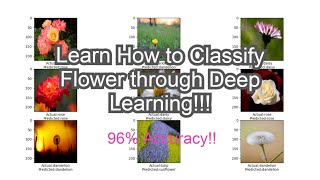 Tutorial 10: Flower Classification with Deep Neural Network with Tensorflow and Python Programming.