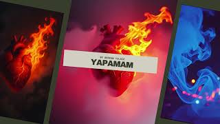 Yapamam - Berkan Yildiz