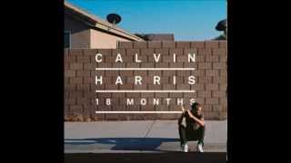 Calvin Harris Feat. Tinie Tempah Drinking From The Bottle *Download Link*