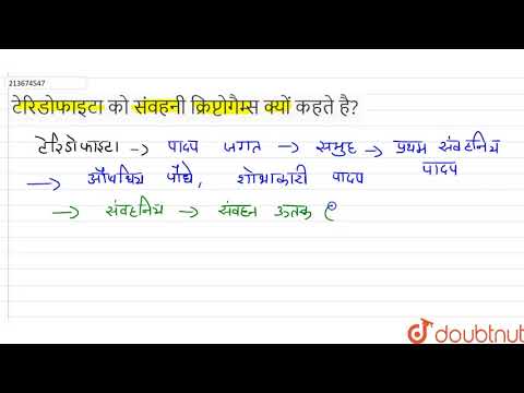 वीडियो: टेरिडोफाइट्स को संवहनी क्रिप्टोगैम क्यों कहा जाता है?