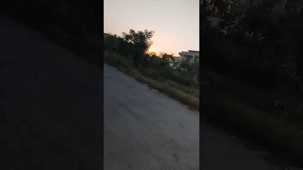 HORTICULTURE AND GARDENING |   