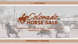 Colorado Horse Sale Western Slope Catalog - Friday Sift