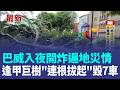 遍地災情！逢甲巨樹"連根拔起"毀7車 古亭疑變電箱爆炸 巴威入夜開炸！苗栗白沙屯"雨用倒的"路都看不清 撐傘也沒用！醫護上班路"全身濕" 大崩潰｜三立新聞LIVE