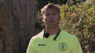 Precision Tree Care and  Removal
