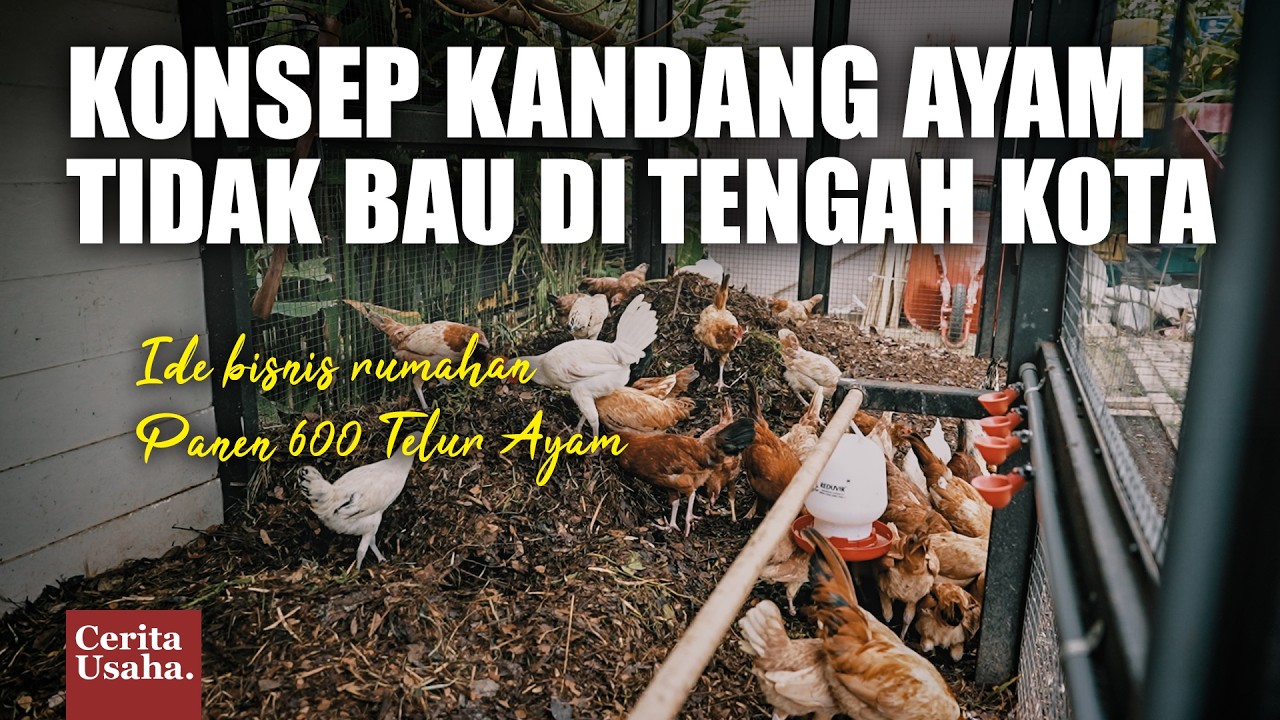 Hidup di Kota Serasa di Desa: Rumah Dengan Kebun & Kandang Ayam di Tengah Kota Tangerang!