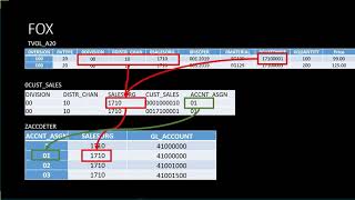 Implementación de SAP BPC 11 integrado - FOX Continuación