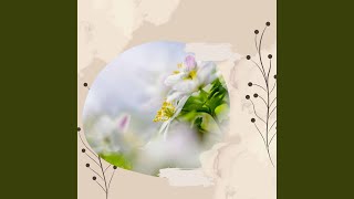 Wonderful Moods for December Mode