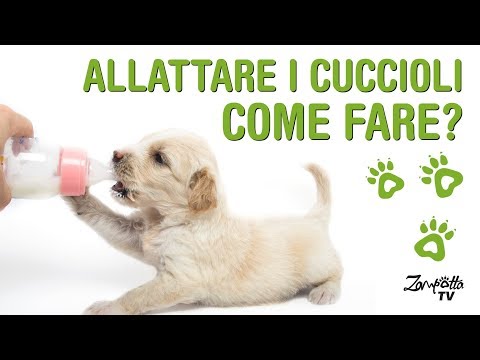 Video: Come Nutrire Un Cucciolo Appena Nato