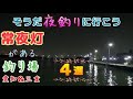 夜釣りがしやすい常夜灯がある釣り場紹介／愛知県&三重県／シーバス・クロダイのルアー釣り