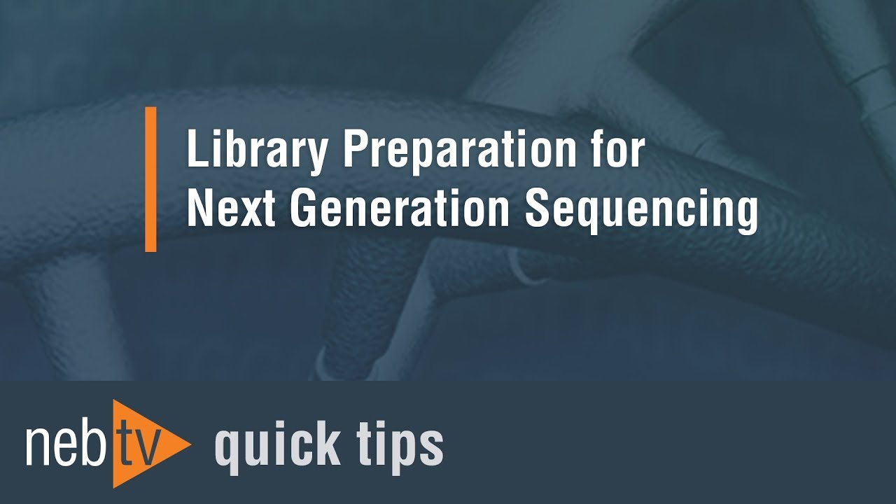 Quick Tips - Bead Reconstitution Buffer for NEBNext Single Cell/Low Input RNA Library Prep