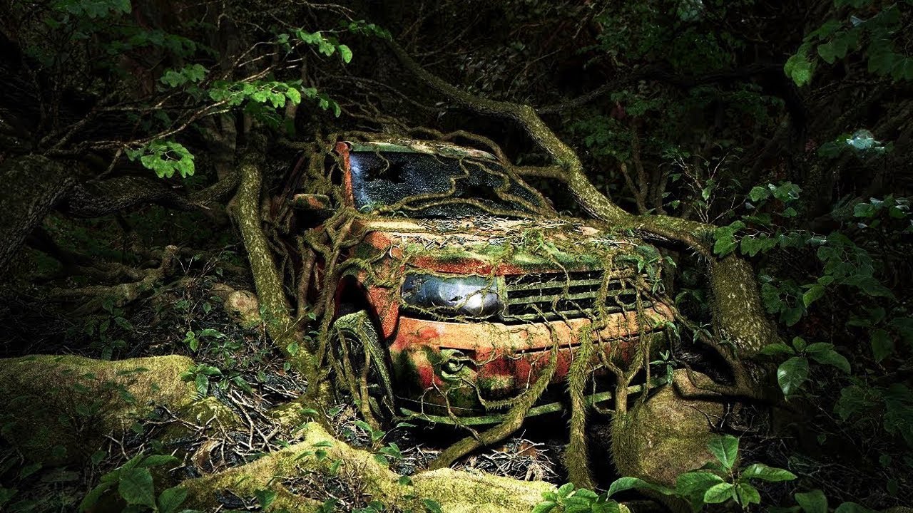 وجدوا سيارة مهجورة في الغابة.. ظنوا أنها خردة ولكن كانت المفاجأة بداخلها !!