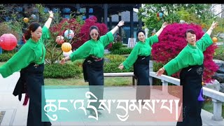 New Tibetan Song ཆུང་འདྲིས་བྱམས་པ།