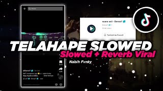 Dj Viral Tiktok || Telahape X Mama Muda Slowed   Reverb || Riski SZ