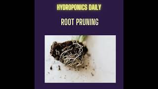 Root Pruning: Control Growth from the Roots