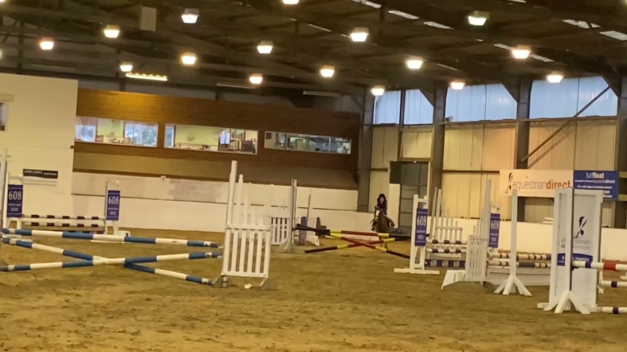 Primsland China doll, daisy May and Our Billie Eile SJ at Solihull