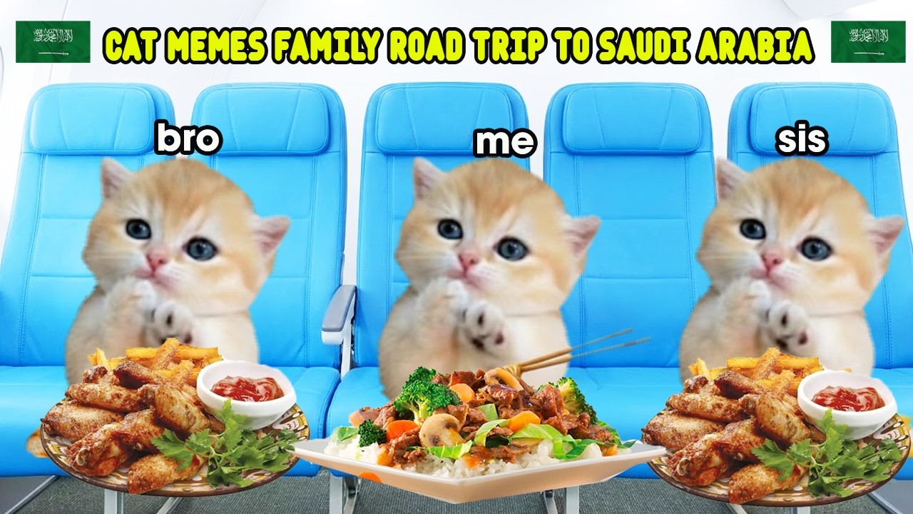 CAT MEMES FAMILY ROAD TRIP TO SAUDI ARABIA