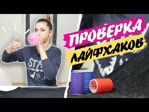 Видео: Как лечить раненый кошачий котел