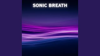 Celebrity The Abundance Code - Unlock Theta Frequencies for Wealth Net Worth