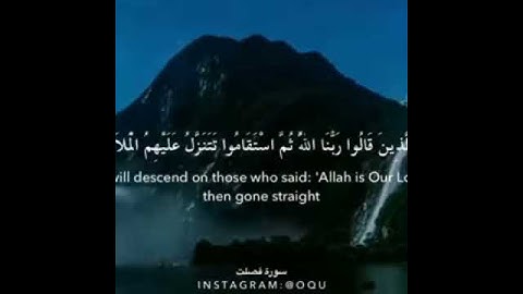 قران كريم : سورة فصلت : القارئ احمد حمادي صوت جميل