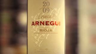 Cata de Arnegui Crianza 2009