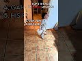Try not to laugh 😂😆 #shorts #ranking #viral