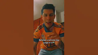 Hoy juegan mis tigres🐯🙌🏼 #tigres #estadiouniversitario #futbolmexicano #fy #fyp thumbnail