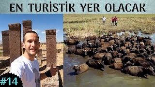 Her Şey 1 Şehirde Toplanır Mı? Tarih Doğa Yemek Ne Ararsan Bi̇tli̇ste Var