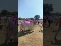 कसकाय बाजारातील बैल 🐂🥰#video #shorts #million #cow #youtube