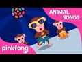 Cheeky monkey  animal songs  monkey song  pinkfong songs for children