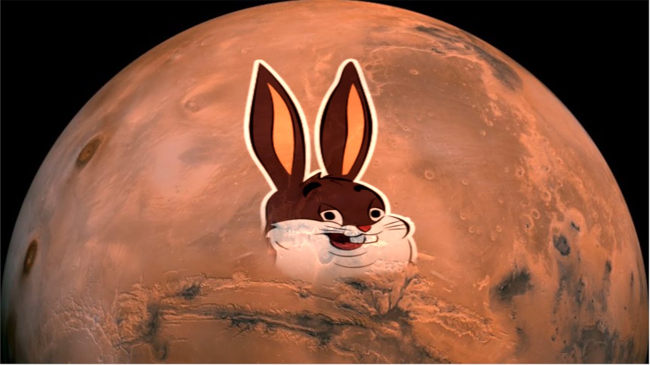 BIG CHUNGUS went to MARS - YouTube