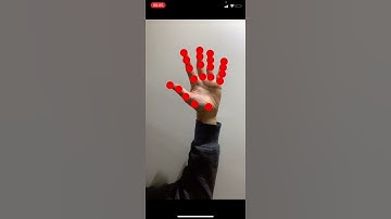 Hand Pose Estimation on iOS