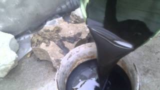 VIDEO0005.3gp