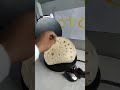 OTC & Sunflame #Electric #chapatimaker Me #Amazing Roti Banti hai 💯🎁👍