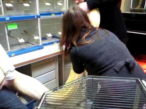 tijgerpython schoonmaken