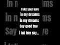 fake your love in my dreams say good bye i fall into sky...